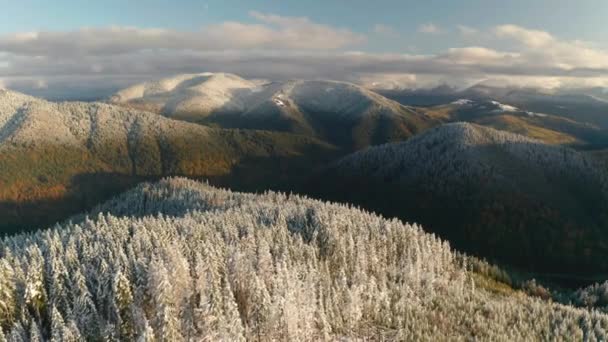 Bosque de otoño y montaña nevada en otoño o invierno . — Vídeos de Stock