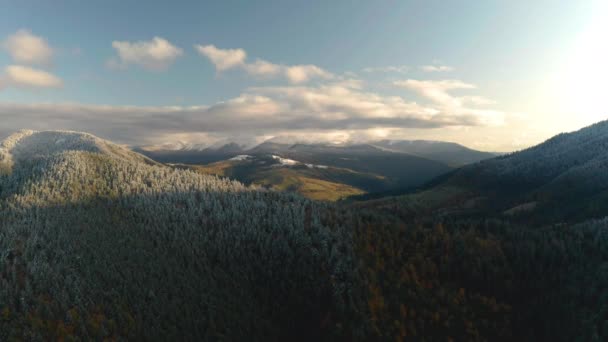 Fall forest and snowy mountain in autumn or winter. — Stock Video