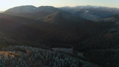 Güzel Autmn ormanı gün batımında parlıyor. Renkli dağ bitkisinin üzerinde uçuyor