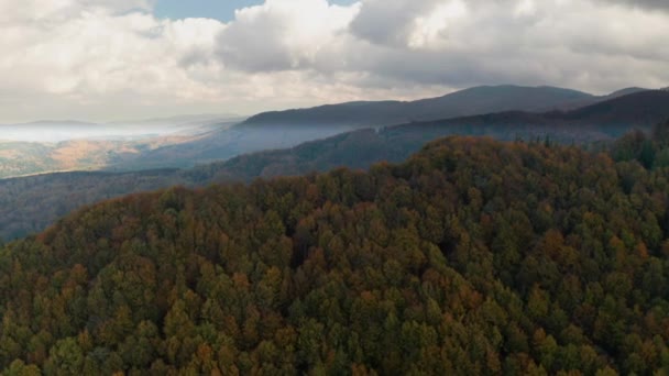 Hermoso bosque de otoño brillando al atardecer. Volar por encima de colorida flora de montaña — Vídeo de stock