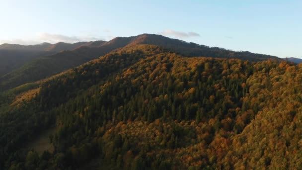 Bela floresta Autmn brilhando ao pôr do sol. Voando acima da flora colorida da montanha — Vídeo de Stock