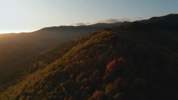 Hermoso bosque de otoño brillando al atardecer. Volar por encima de colorida flora de montaña — Vídeo de stock