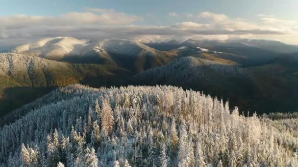 Montagna innevata in autunno o in inverno . — Video Stock