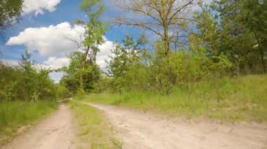 Yeşil yaprakları ve yaprakları olan yeşil yaprakları olan bir orman veya parkın POV görüntüsü..