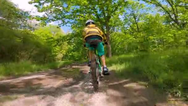 少年は森の中の道を自転車で走る。春の公園の道. — ストック動画