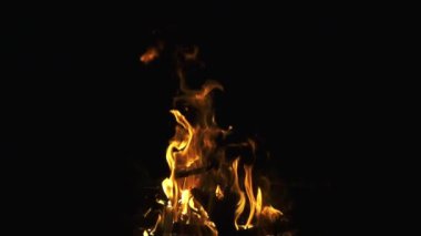 Her akşam alev alev yanıyor. Ağır çekim, gece kamp ateşine yakın çekim. Ormanda büyük bir ateş yanıyor, gece vakti..