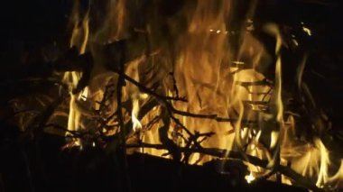 Her akşam alev alev yanıyor. Ağır çekim, gece kamp ateşine yakın çekim. Ormanda büyük bir ateş yanıyor, gece vakti..