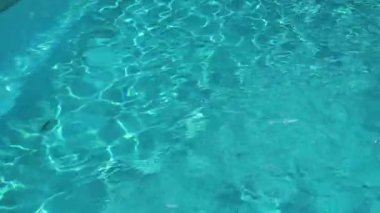 Su dalgalanmaları. Deniz yüzeyinde güneş ışığı. Yavaş çekim