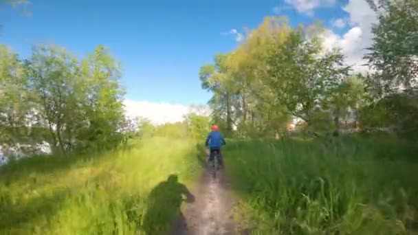 Un niño monta en bicicleta por un sendero en el bosque. El camino en el parque de primavera. — Vídeos de Stock