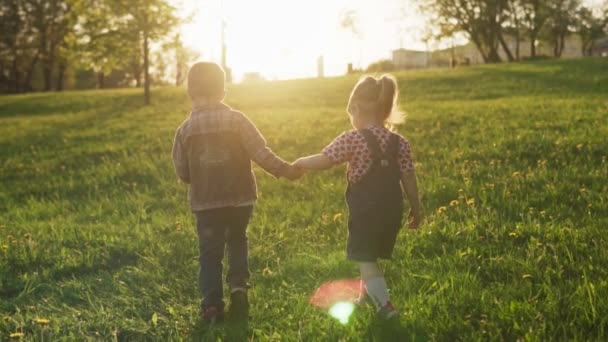 Menino e menina caminhando juntos ao longo do campo de verão ao pôr do sol — Vídeo de Stock