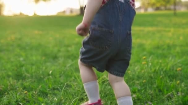 Jambes d'un enfant courant sur l'herbe verte au coucher du soleil — Video