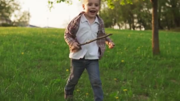 Joyeux petit garçon courant sur l'herbe dans un parc d'été ensoleillé — Video