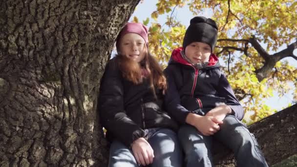 Carino amici bambino e ragazza seduti insieme su un albero nella soleggiata giornata autunnale — Video Stock