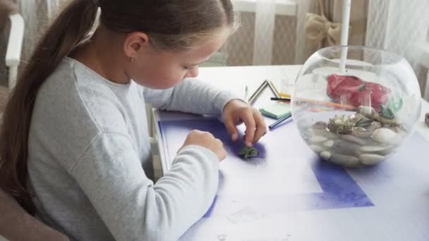Niña jugando con tortuga doméstica en la mesa en casa — Vídeos de Stock