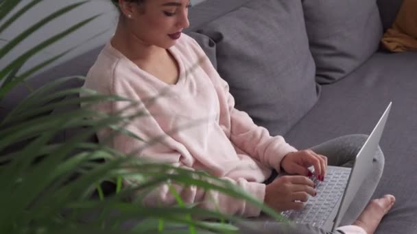 Gelukkig jonge vrouw die op laptopcomputer op comfortabele sofa thuis werkt — Stockvideo