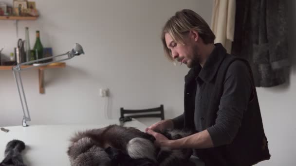 Furrier homme toucher la fourrure tout en travaillant dans l'atelier de couture — Video
