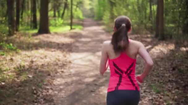 Fitness woman run in spring sunny forest — Stock Video