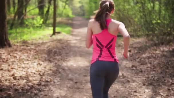 Female runner run in spring sunny forest — Stock Video