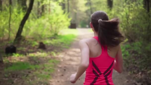Mujer activa corriendo en el bosque soleado de primavera — Vídeos de Stock