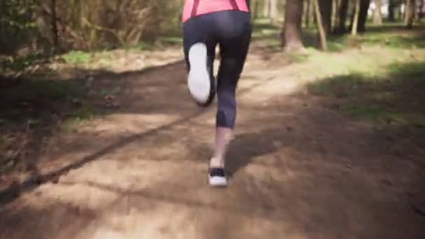 Vrouwelijke runner run in het voorjaar van Sunny forest — Stockvideo