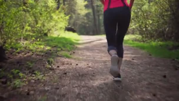 Fitness-Frau läuft im frühlingshaften sonnigen Wald — Stockvideo