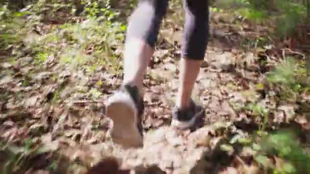 Lopers voeten in sportschoenen lopen op bos — Stockvideo