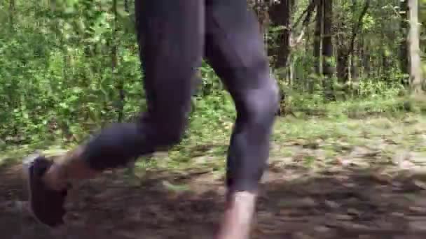 Ноги бегуна бегают по лесной дороге — стоковое видео