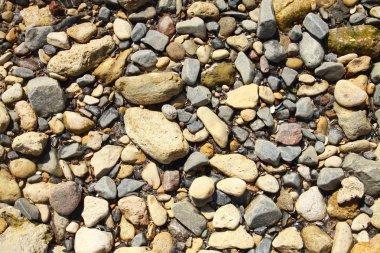  arka plan küçük deniz taş