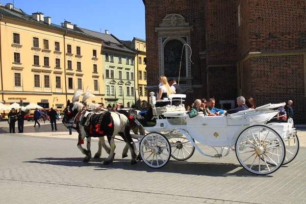 Krakow Mariacki Kilisesi önünde meydanda. Polonya