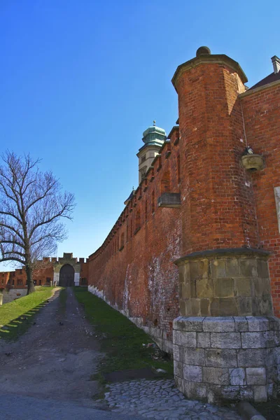Les Murs Château Wawel Cracovie Pologne — Photo