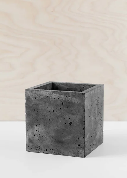 Stylish Black Pot Fibrous Concrete Indoor Plants — Stock Photo, Image