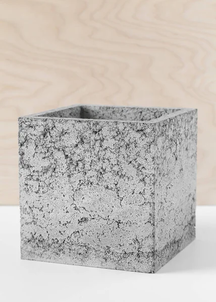 Brutal Grey Pot Fibrous Concrete Indoor Plants — Stock Photo, Image