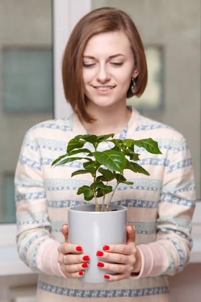 Girl with houseplant — Stock Photo, Image