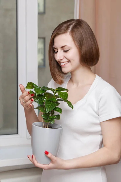 Girl with houseplant — Stock Photo, Image