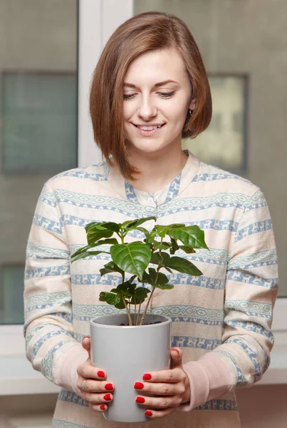 Girl with houseplant — Stock Photo, Image