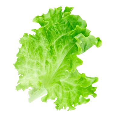 Beyaz arka plan üzerinde izole marul yaprağı