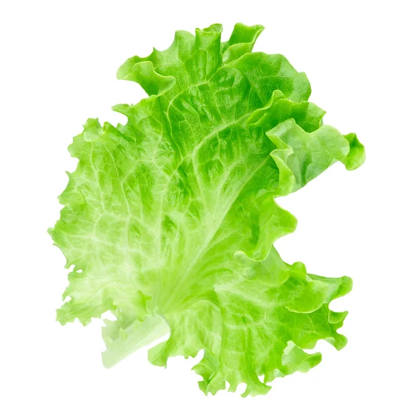 Beyaz arka plan üzerinde izole marul yaprağı