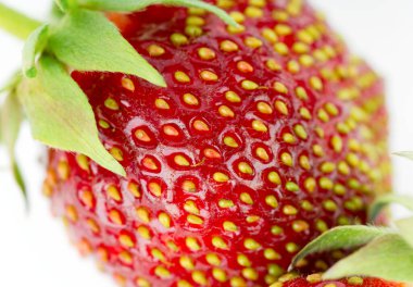 Çilek kapanışı. Taze olgun meyve.