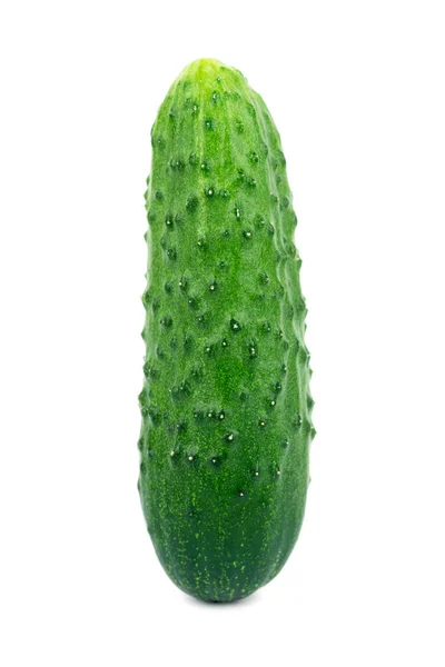 Cucumber Closeup White Background — Stock Photo, Image