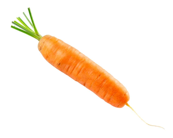 Zanahoria Aislada Sobre Fondo Blanco Verduras Frescas Maduras — Foto de Stock