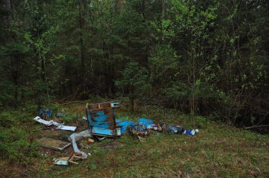 Syktyvkar, Rusya - 31 Mayıs 2018: Açıklayıcı resim. Çevre kirliliği. Bir sürü çöp iğne yapraklı orman insanlar tarafından dışarı atılır.