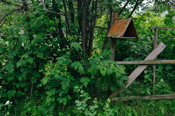 Wooden fence and feeder in the old garden overgrown with green grass and shrubs