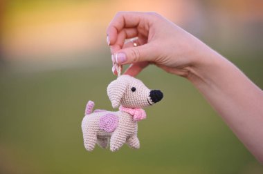 Syktyvkar, Rusya - 12 Temmuz 2018: Açıklayıcı resim. Amigurumi örgü tekniği köpek oyuncak örme