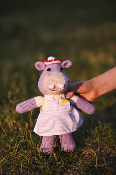 Syktyvkar, Rusya - 12 Temmuz 2018: Açıklayıcı resim. Amigurumi örgü tekniği su aygırı oyuncak örme