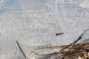 Bu altında kurutulmuş ot ve hava kabarcıkları ile baraj gölünün yüzeyinde ince şeffaf buz.
