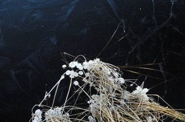 Bu altında kurutulmuş ot ve hava kabarcıkları ile baraj gölünün yüzeyinde ince şeffaf buz.