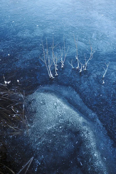 Thin Transparent Ice Surface Reservoir Dried Grass Air Bubbles — Stock Photo, Image