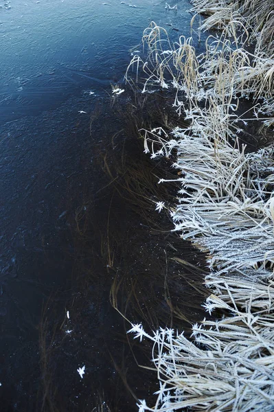 Тонкий Прозрачный Лед Поверхности Резервуара Сушеными Травяными Воздушными Пузырьками Ним — стоковое фото