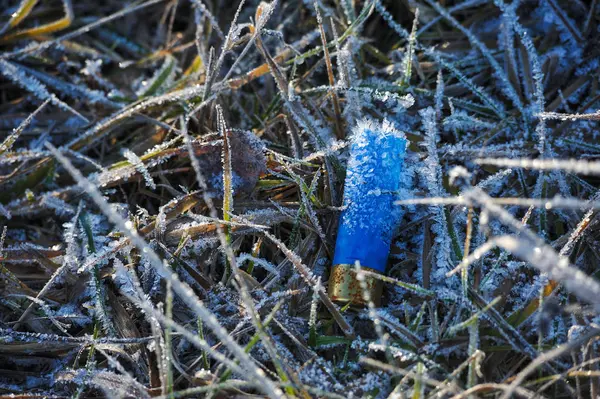 Cartucho Caça Manga Plástico Grama Campo Coberto Com Geada Umidade — Fotografia de Stock