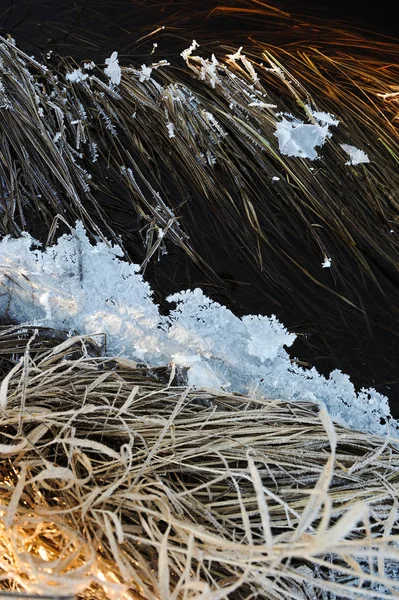 Cienki Lód Przezroczysty Powierzchni Zbiornika Suszone Trawy Pęcherze Powietrza Pod — Zdjęcie stockowe
